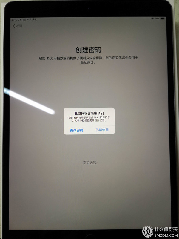 未注册的ipad怎么操作一键紫屏功能呢苹果