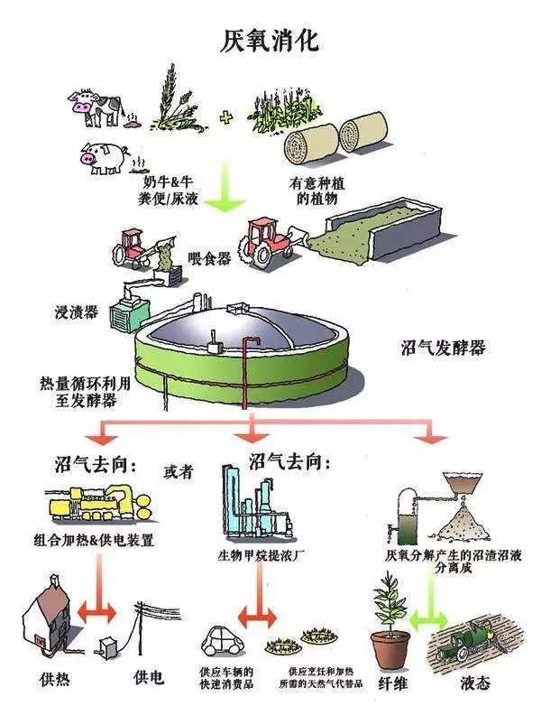 粪污资源化利用