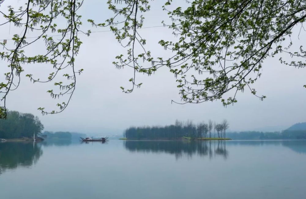 桃江鲊埠人口_桃江竹海图片(2)