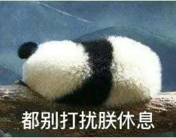 搞笑熊猫表情包,别打扰本宝宝休息,让我一个熊静一静