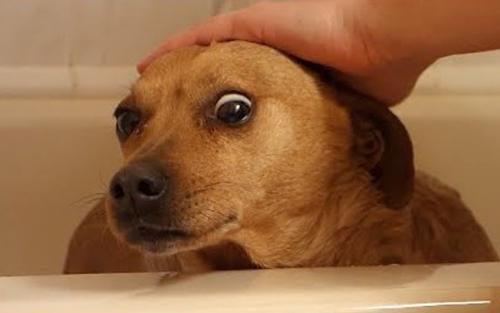 640