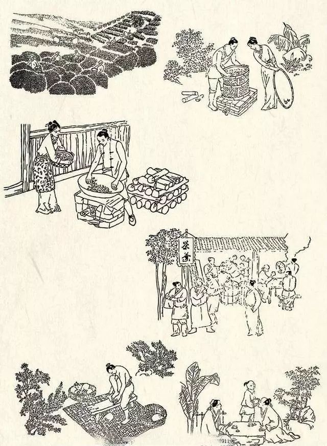 明代散茶冲泡,就比