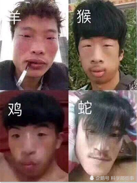 再来看这四位男生,说实话我不知道该怎么评价了,第三位还是一位网红小