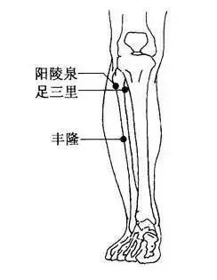 阳陵泉