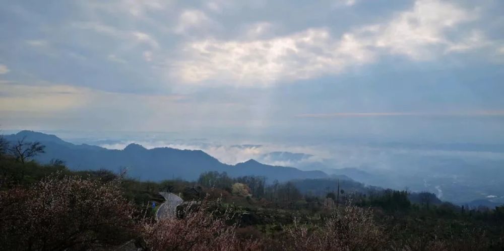 采茶,爬山,赏花…成都周边的绝美风景,不容错过