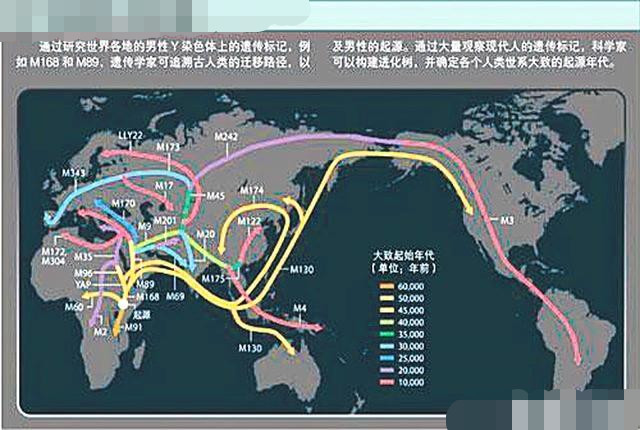 地球上有多少女性人口_地球上有多少只熊猫