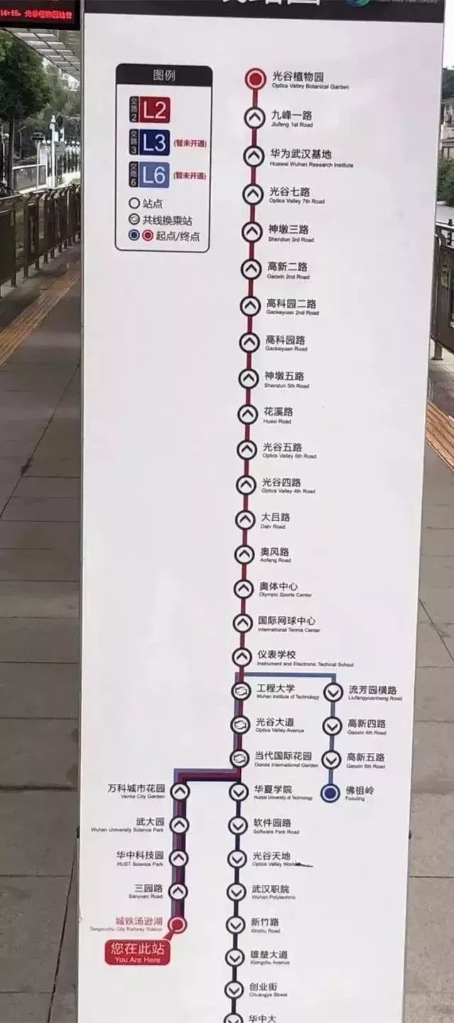 武汉下半年注定不平凡 看看都有哪些变化(图18)