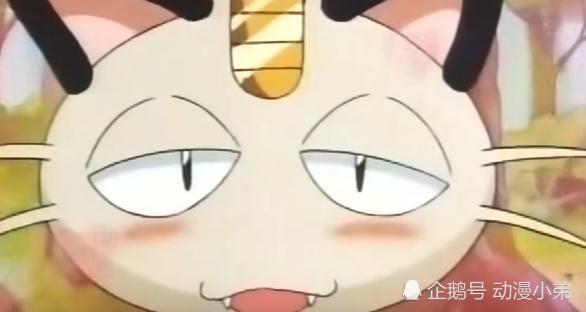 神奇宝贝:喵喵喜欢过的五只小精灵,哪只你觉得配得上