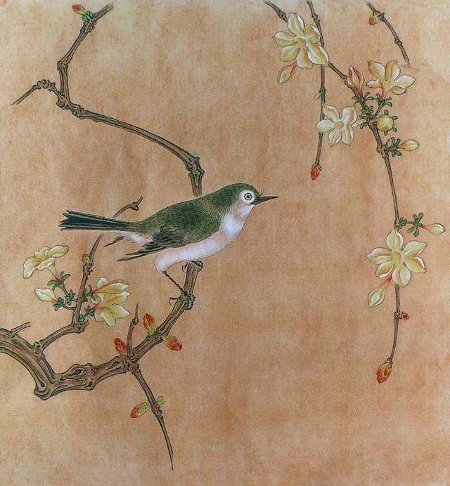 工笔画《迎春花与绣眼鸟》画法步骤