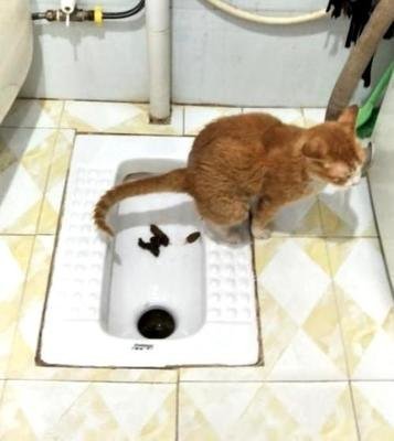 640