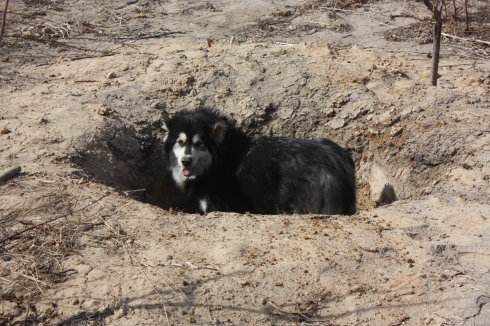 农村自建房没有地线入户?那就自己动手做一个