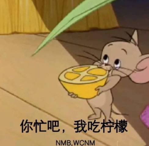 看看,这些调皮捣蛋的猫和老鼠,这绝对不是我们小时候看的那个猫和老鼠