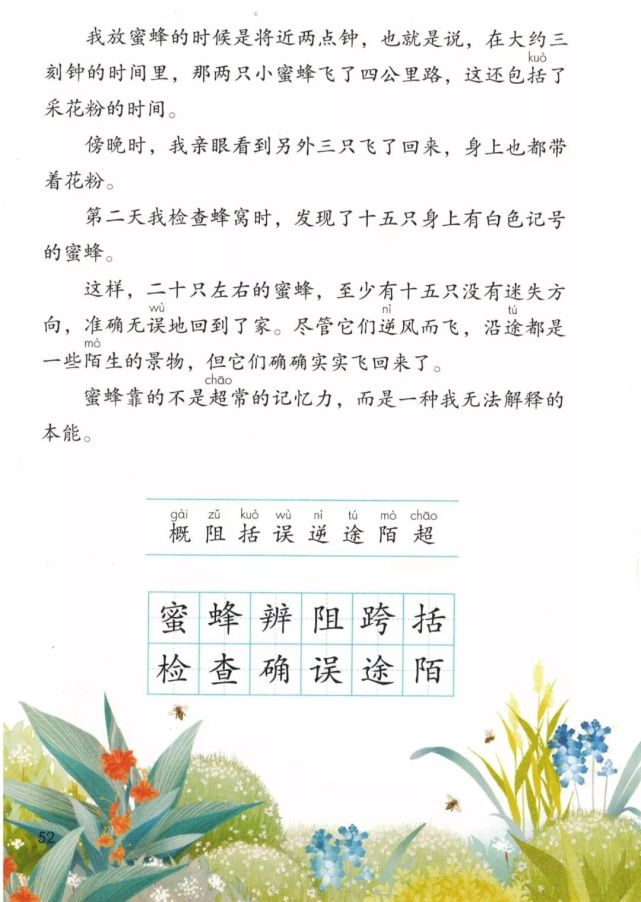 部编版语文三年级下册课文14《蜜蜂》