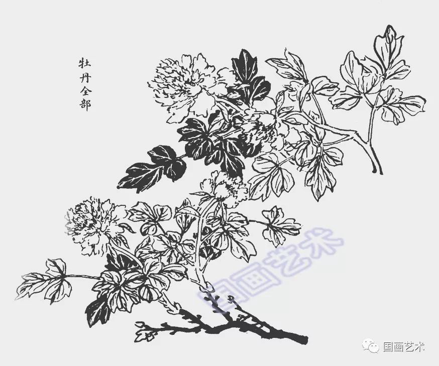 春花烂漫,他画出来的课徒稿这么美!