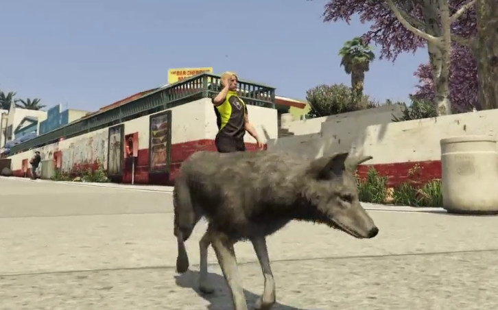 你有仔细观察过 Gta5 中的各种动物吗 这猪可不一般啊 看点快报