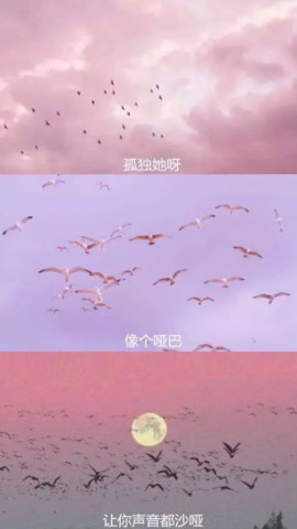 640