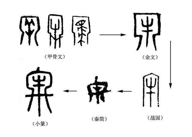 第136课:成语"亡羊补牢"中"牢"的由来|汉字|许慎|小篆|甲骨文|说文解