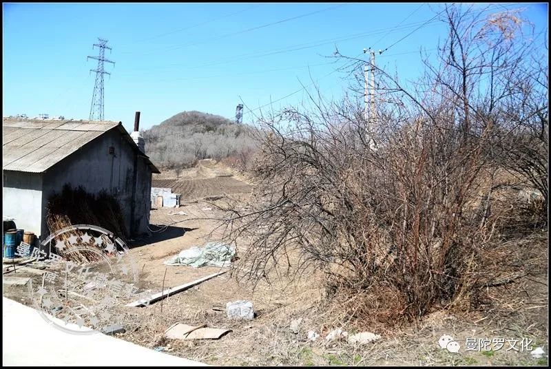 东汉扶余人口_东汉末年扶余地图(2)