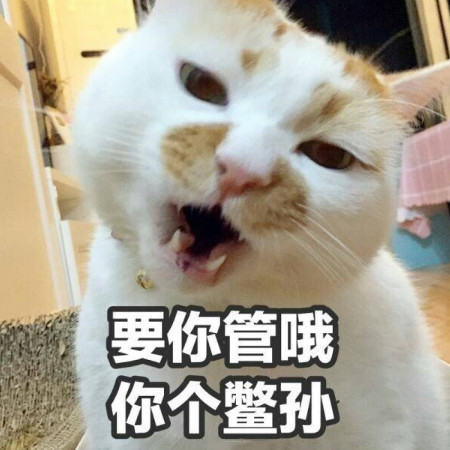 640