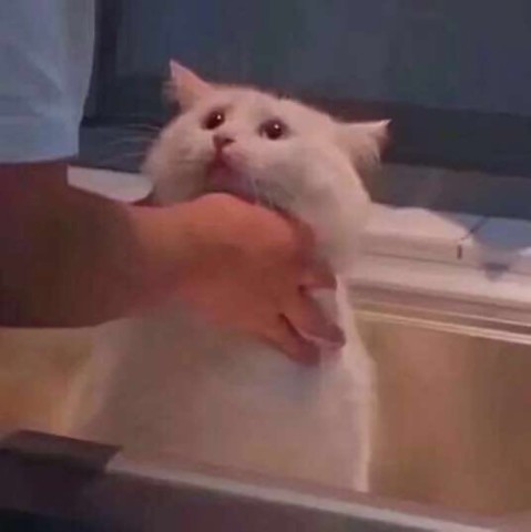 640