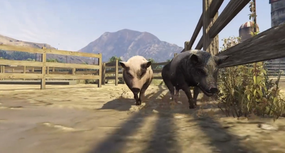 Gta5 这些动物你见过几个 细节下说明一切 猫狗大战 看点快报