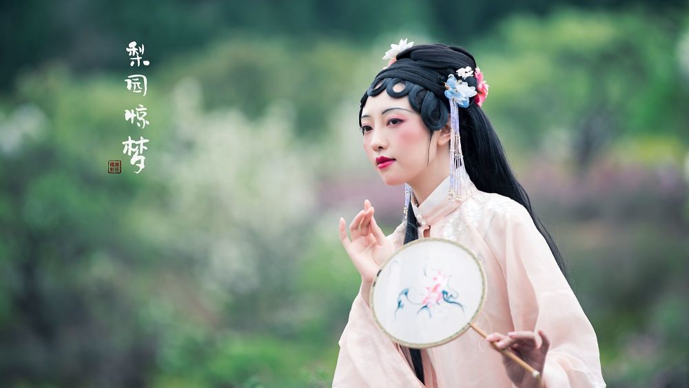 梨园惊梦