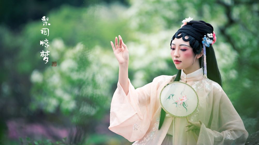 梨园惊梦