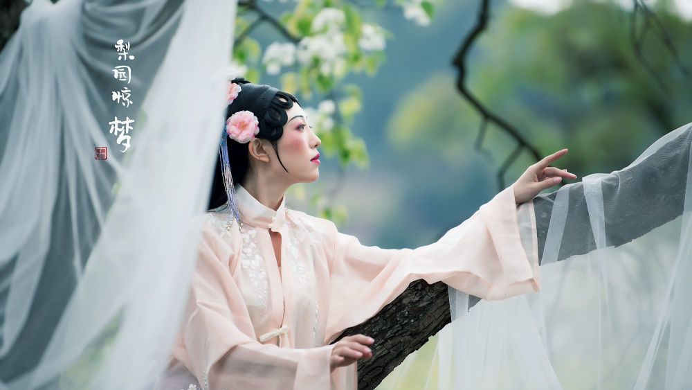梨园惊梦