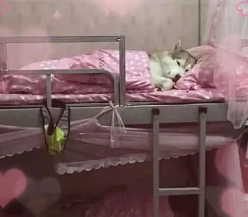 640