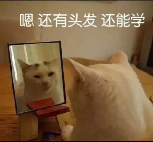 640