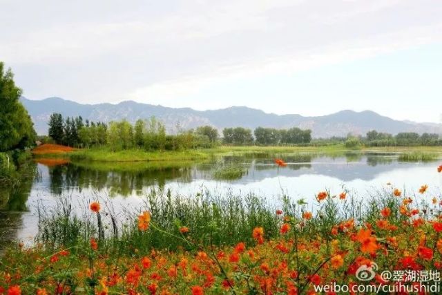 北京最神秘的公园开园了 难得一见的自然风光 