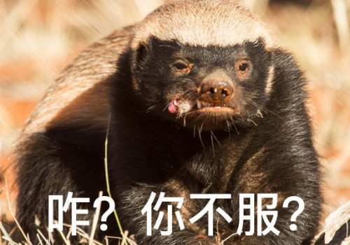 平头什么足成语_成语故事简笔画