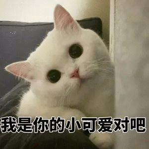 熊猫头表情包火了,小奶猫吃醋了:老公?我是你的小可爱