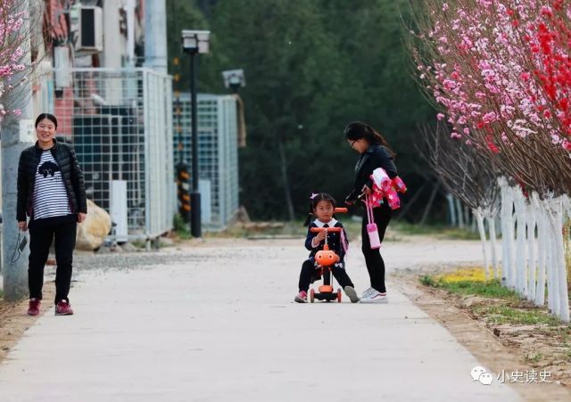 史义军:园圃花开次第,烂漫美丽春光—拍花手记