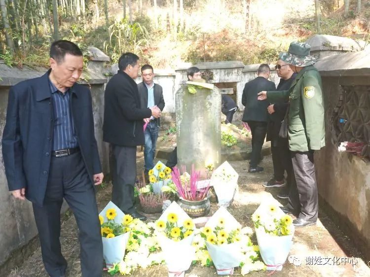 弋阳县谢叠山文化研究会2019清明到叠山墓祭祖