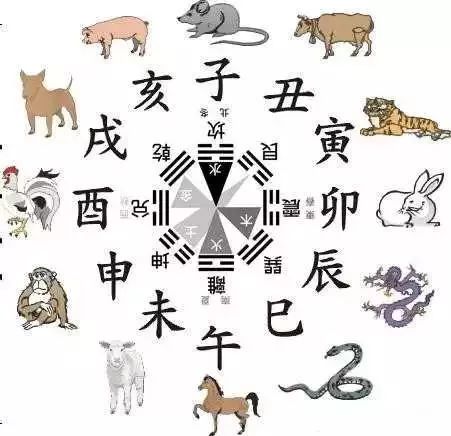 属猴可以起名泽字吗 属猴起名字禁忌