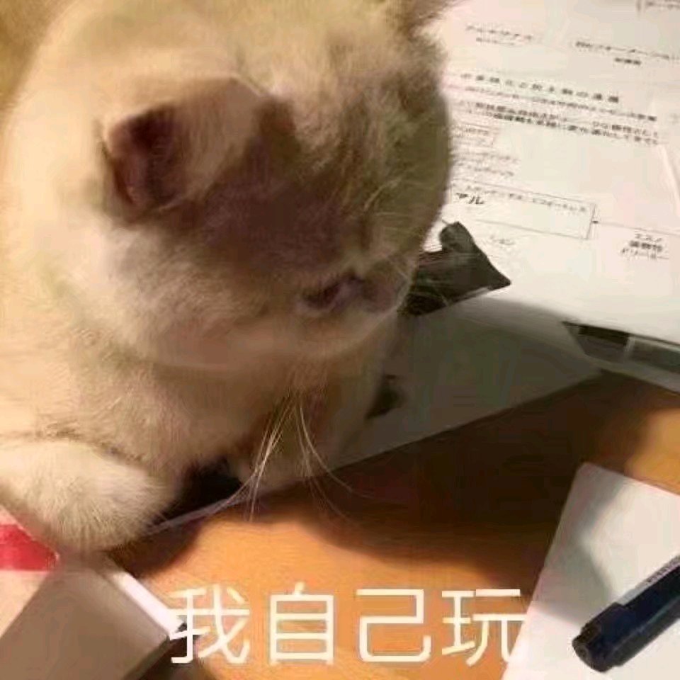 搞笑可爱的表情包,小狗小猫,超难过,我自己玩