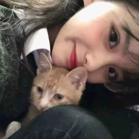 小奶猫·野猫·猫系少女头像:做我的猫,想把你搂在怀里使坏!