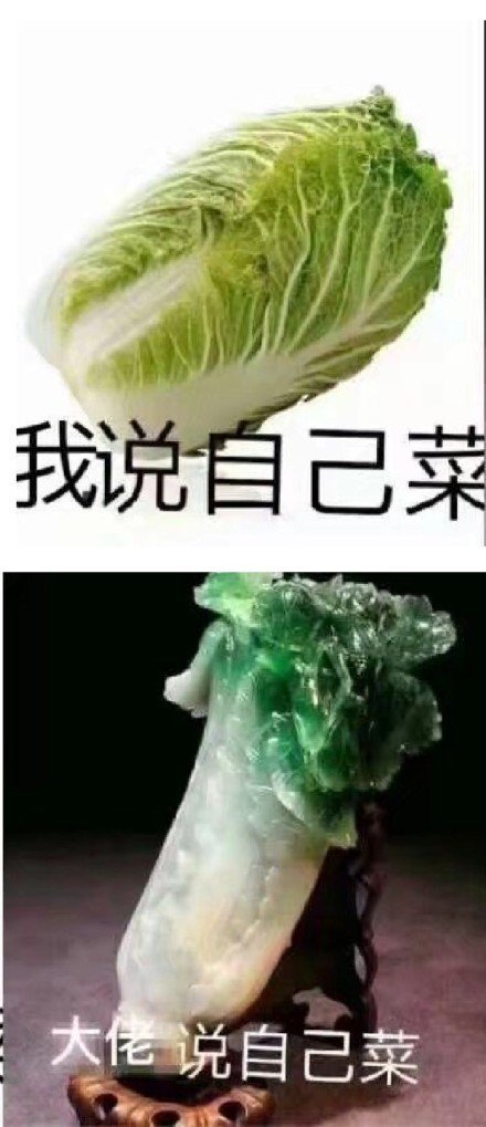 你说自己菜vs大佬说自己菜,人和人之间差太大,我不想