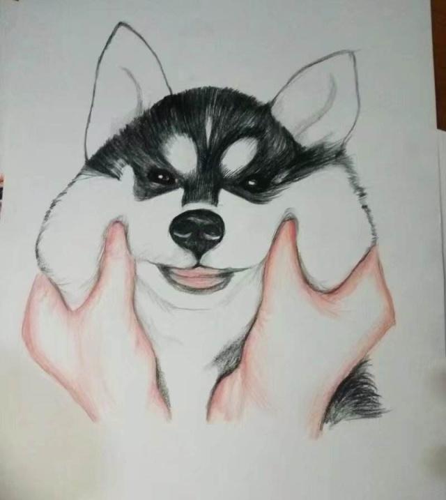 朋友圈超搞笑的句子,搞笑至极,笑到抽筋