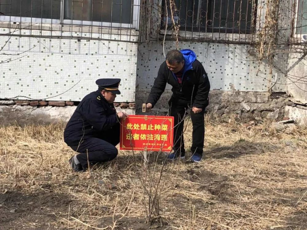 小区亮起警示牌,公共绿地不能再种菜