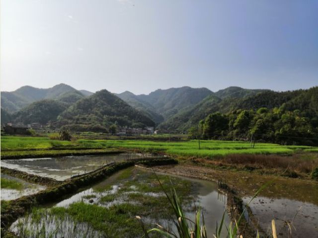 三都镇人口_资兴三都镇