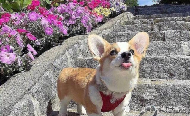 640