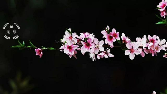 成语什么俗事_日什么月什么成语(2)