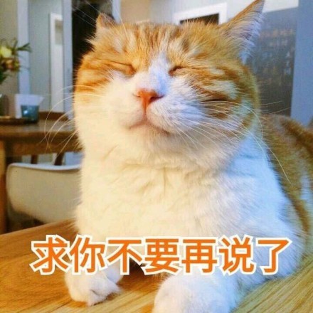 十分慵懒的一组肥猫表情包:我都懒得睁眼看你了