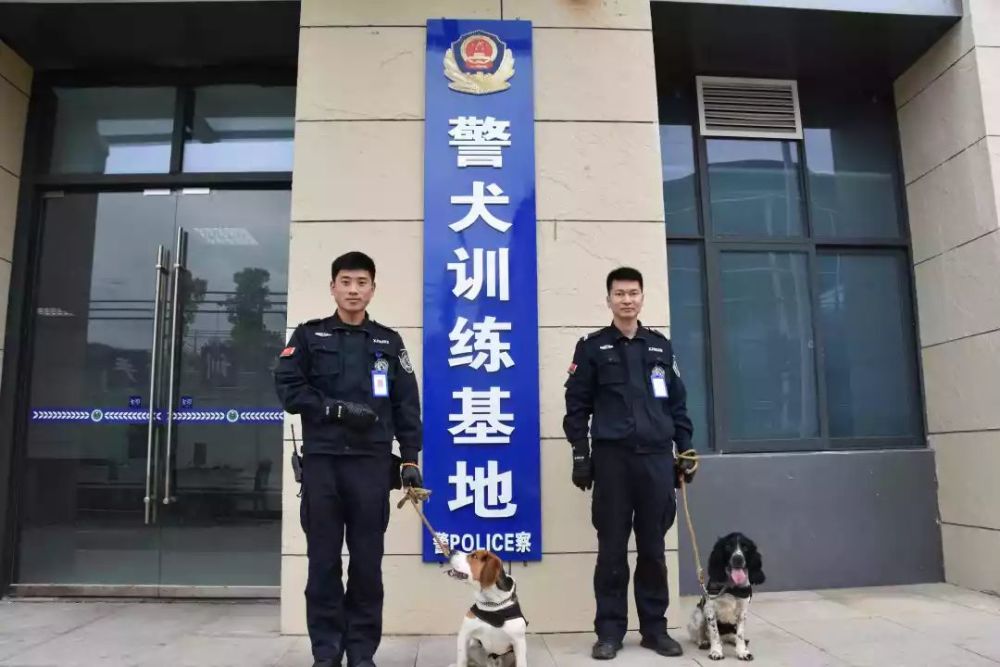 警犬训练场地,开展有计划的各种训练工作 1,配合各大队对学员宿舍