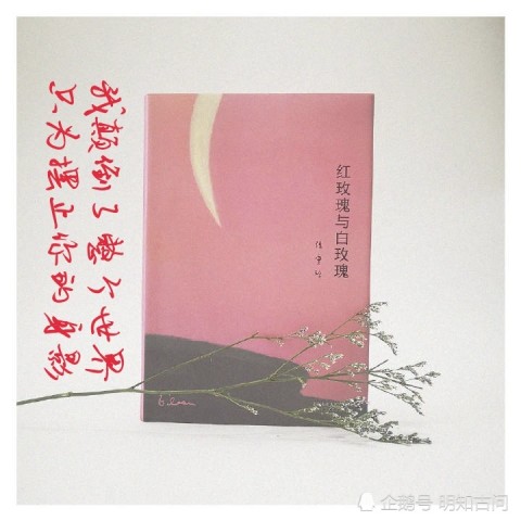 请你别忘了我简谱_请你不要忘了我简谱(2)
