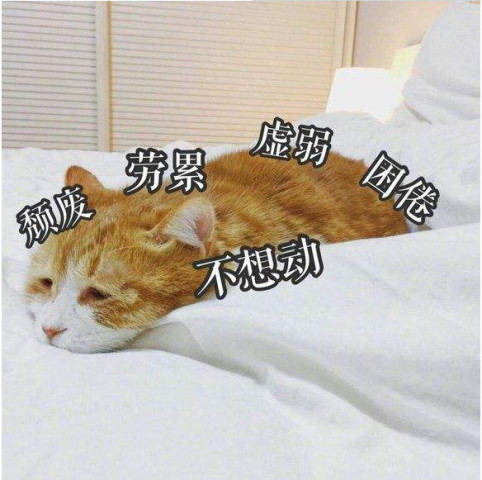 640