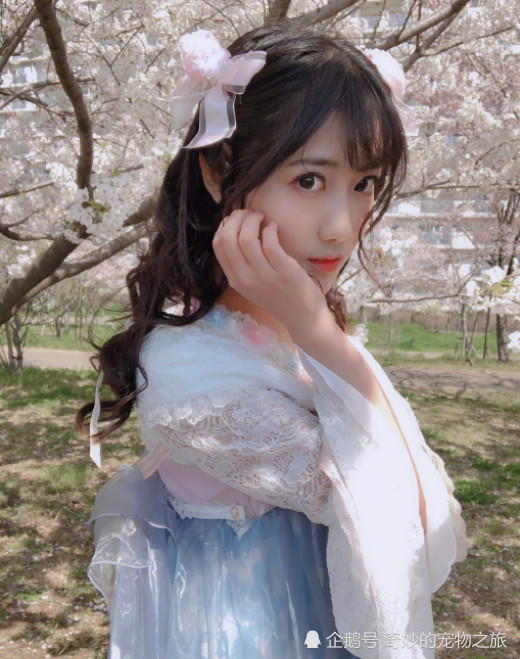 李艺彤微博晒汉服照,网友:想跟鞠婧祎比美?差远了!