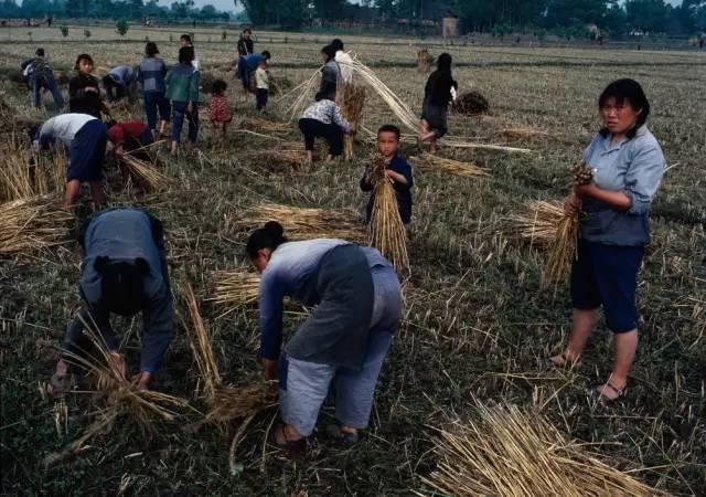 彩色老照片:1974年的中国,怀念那个纯真的年代